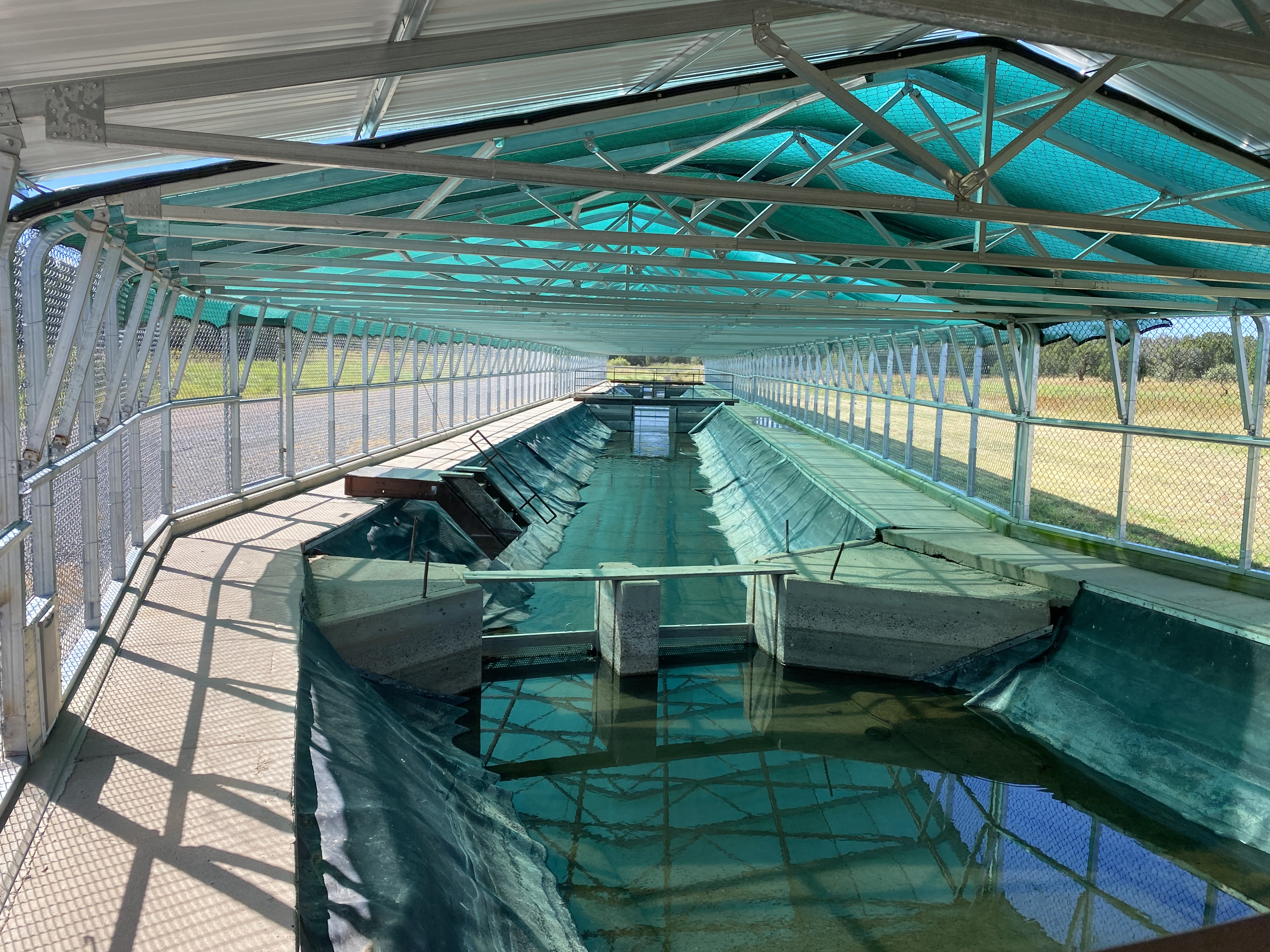 The site where the project was to be deployed - Silver Creek Hatchery